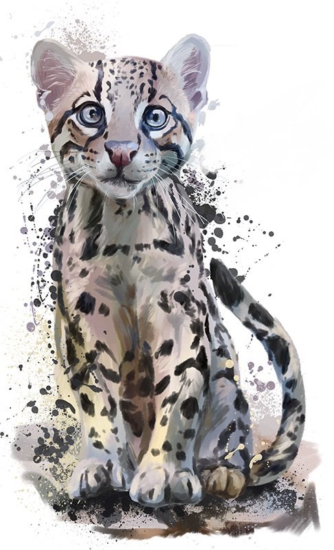 Леопард - леопард, животные, рисунок - оригинал