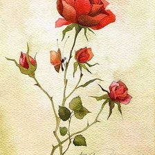 Схема вышивки «роза»