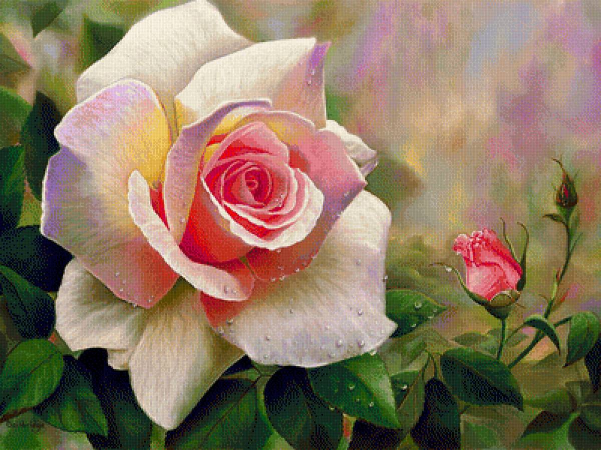 Роза - цветок, рисунок, цветы, роза - предпросмотр