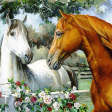 CABALLOS BLANCO Y MARRON