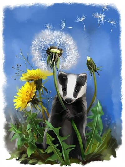 Барсук и одуванчики - одуванчики, барсук, животные, цветы, рисунок - оригинал