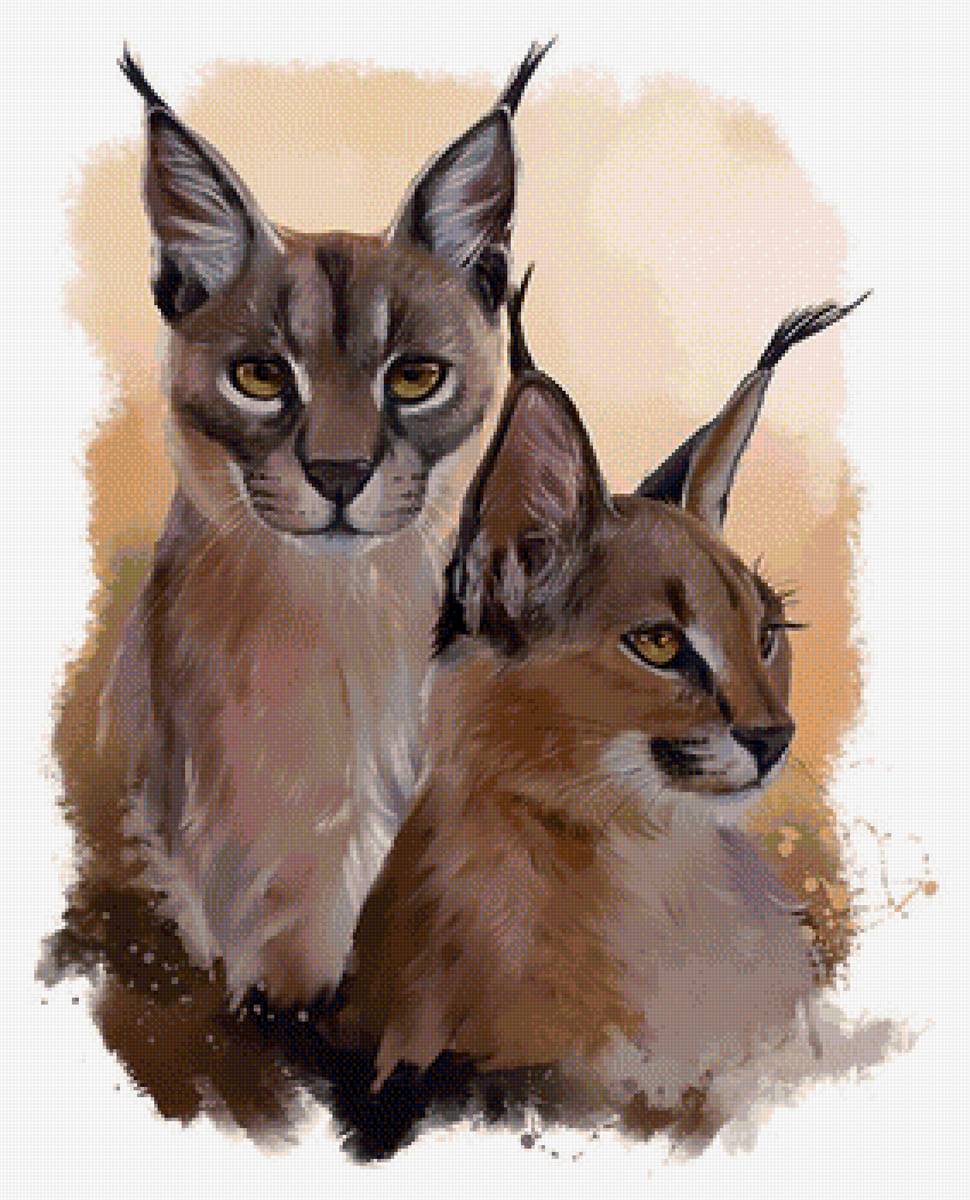 Рыси - рисунок, рыси, животные, рысь - предпросмотр