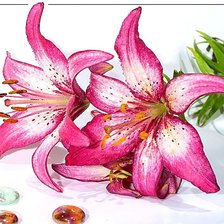 Оригинал схемы вышивки «№1880647»