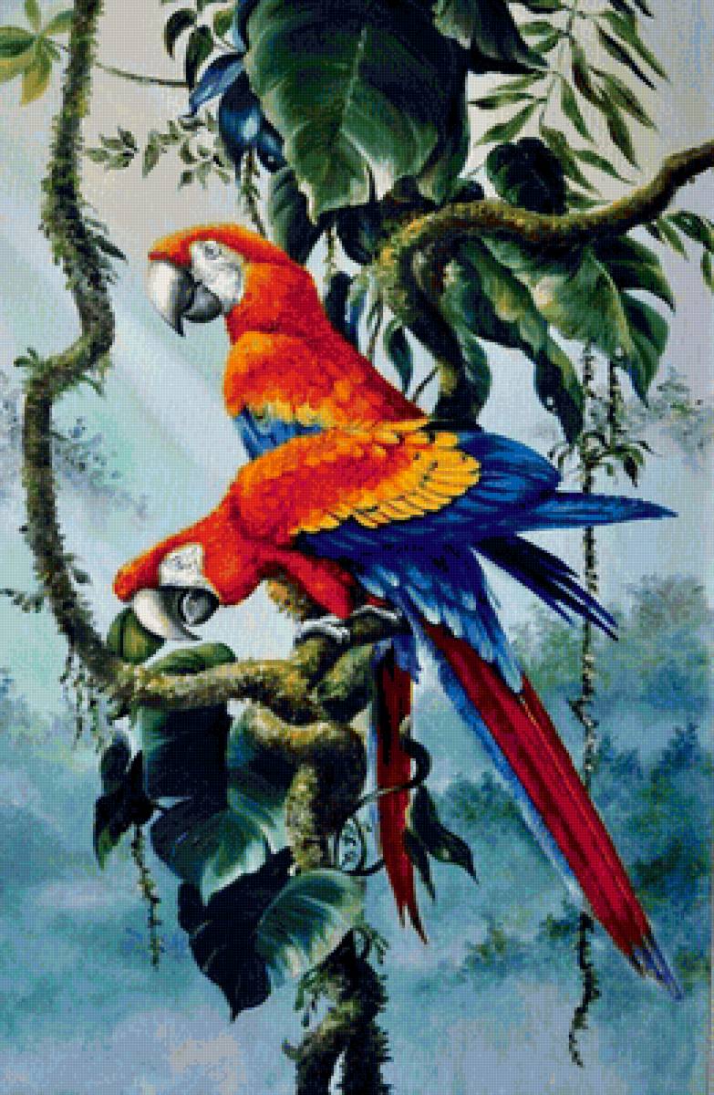 В тропическом лесу - птицы, ветвь - предпросмотр