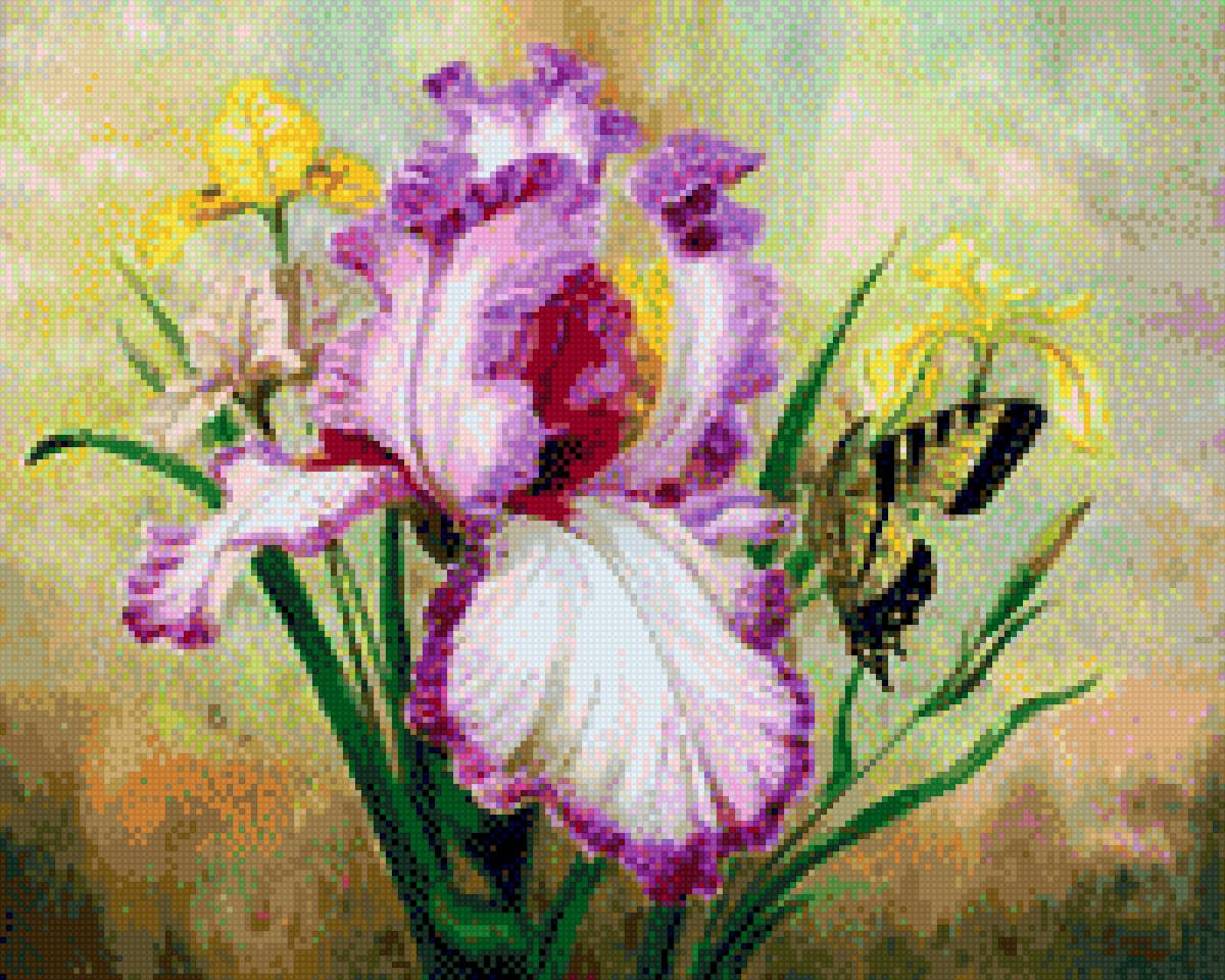 Ирис и бабочка - предпросмотр