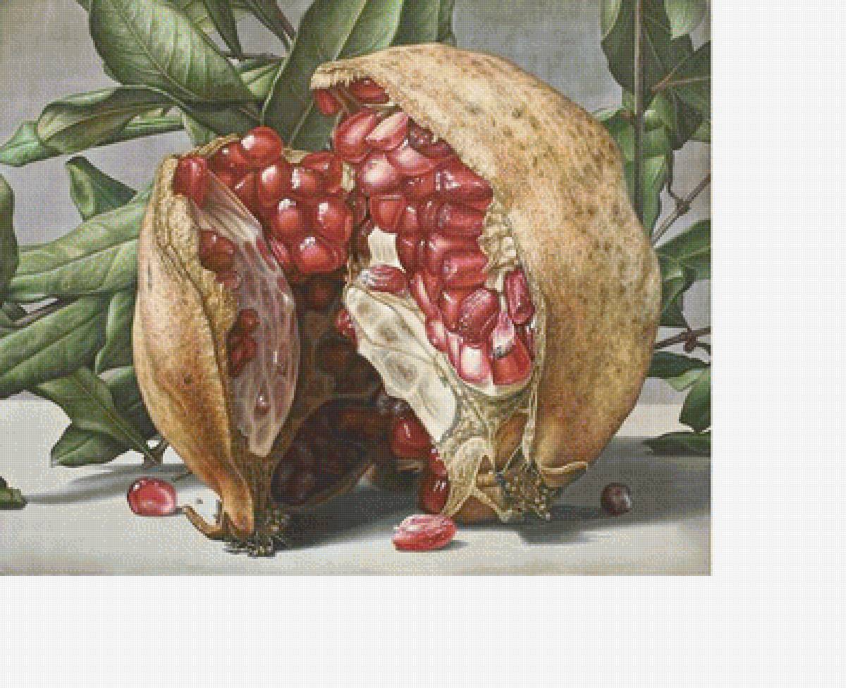 Гранат - фрукты - предпросмотр