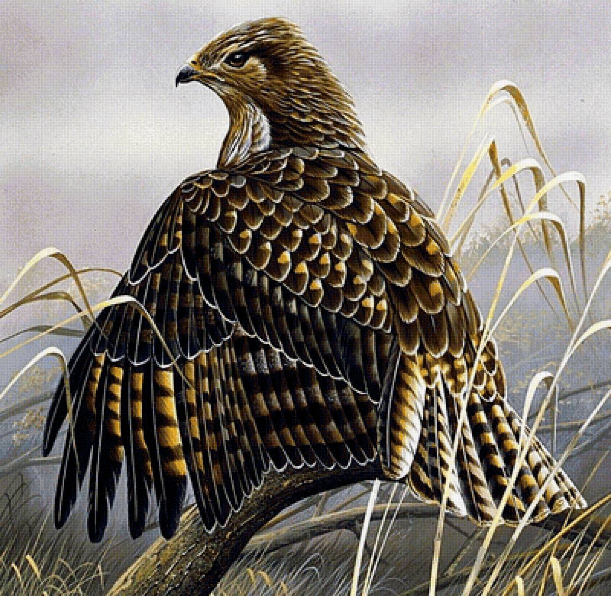 №1881209 - птицы - предпросмотр