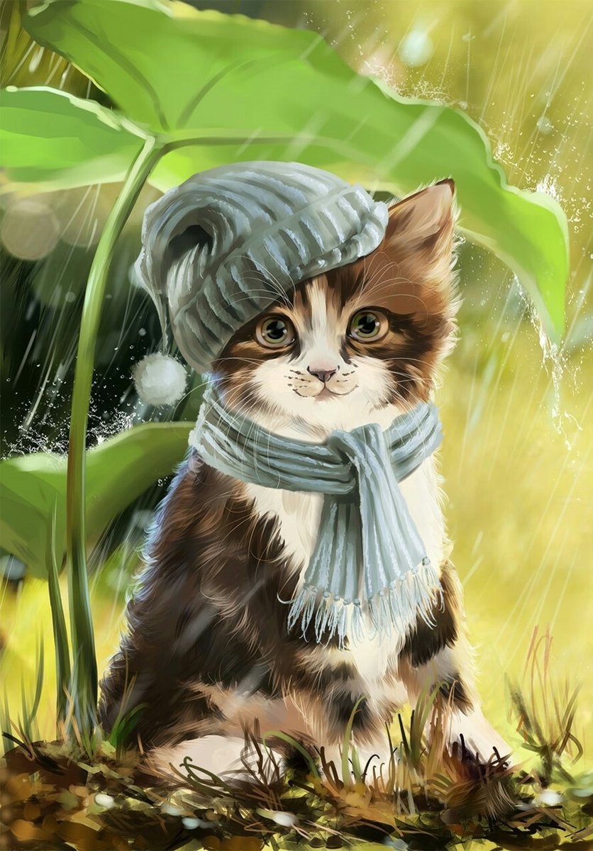 Под дождём - котик, дождь, кот, животные, рисунок - оригинал