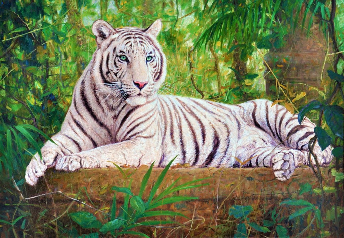 Белый тигр - рисунок, тигр, природа, животные - оригинал