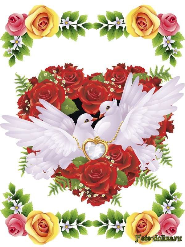 Голуби - сладкая парочка - оригинал