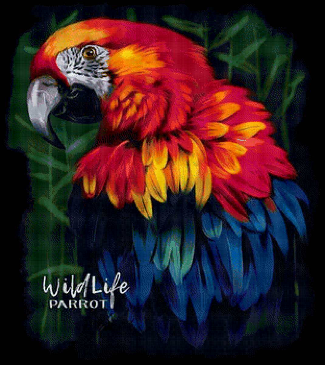 Попугайчик - рисунок, птица, попугай - предпросмотр