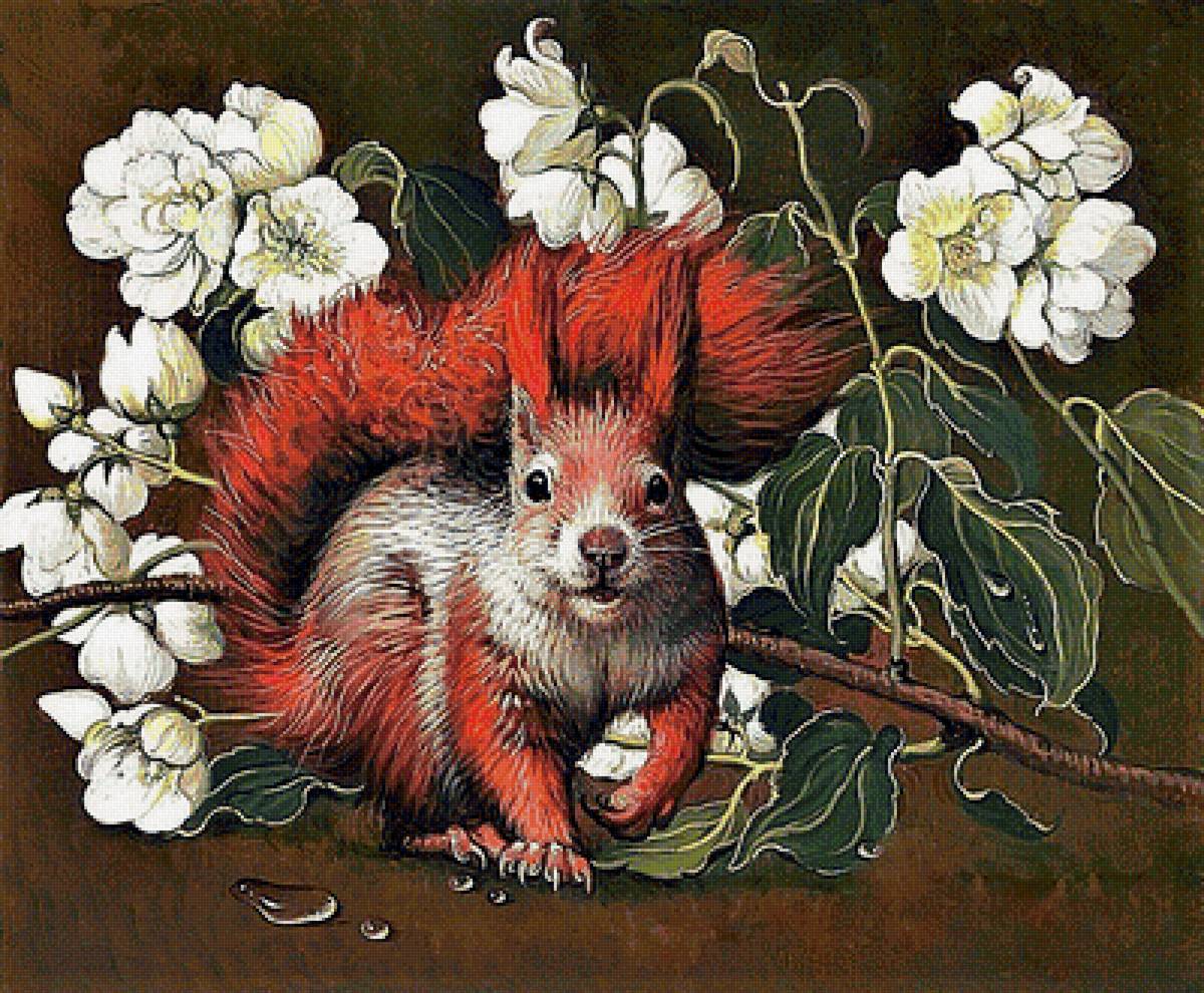 №1881554 - цветы, белки - предпросмотр