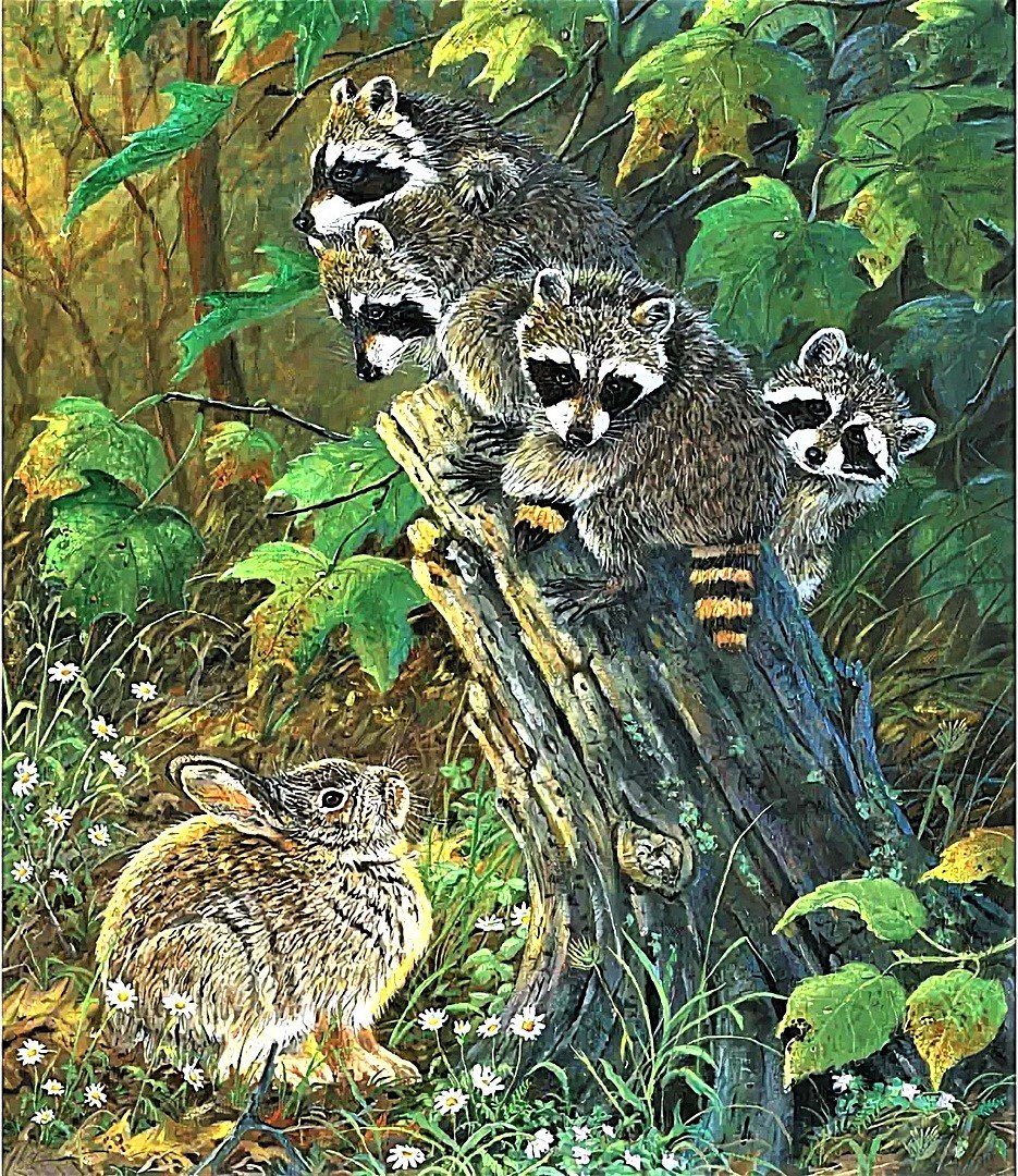 №1881584 - пейзаж, еноты - оригинал