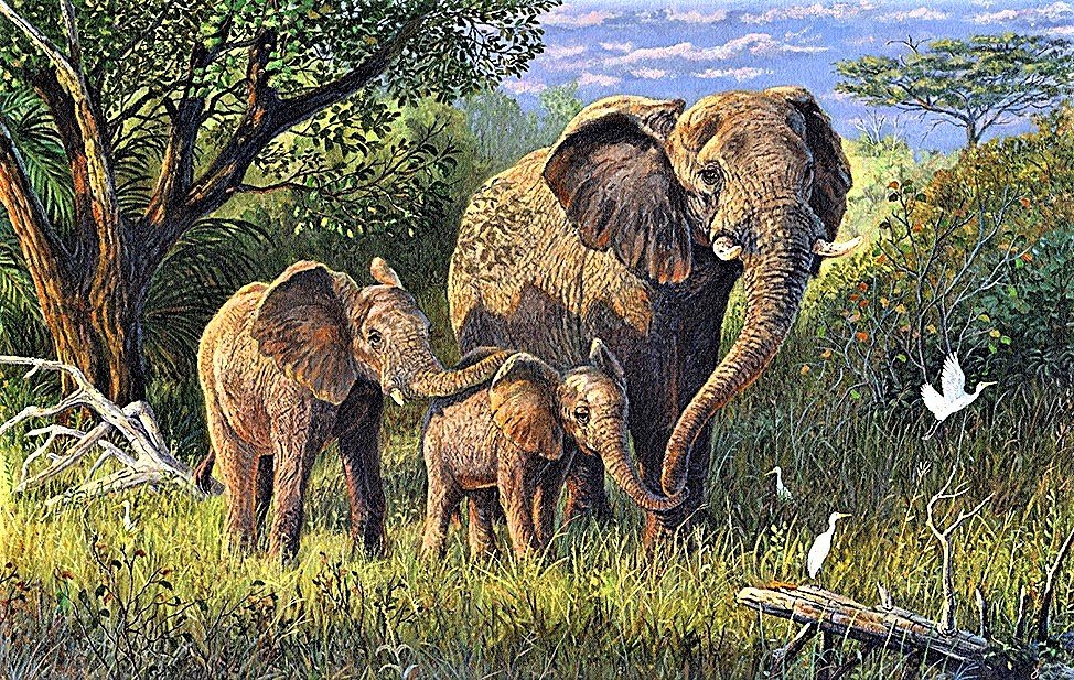 №1881587 - слоны - оригинал