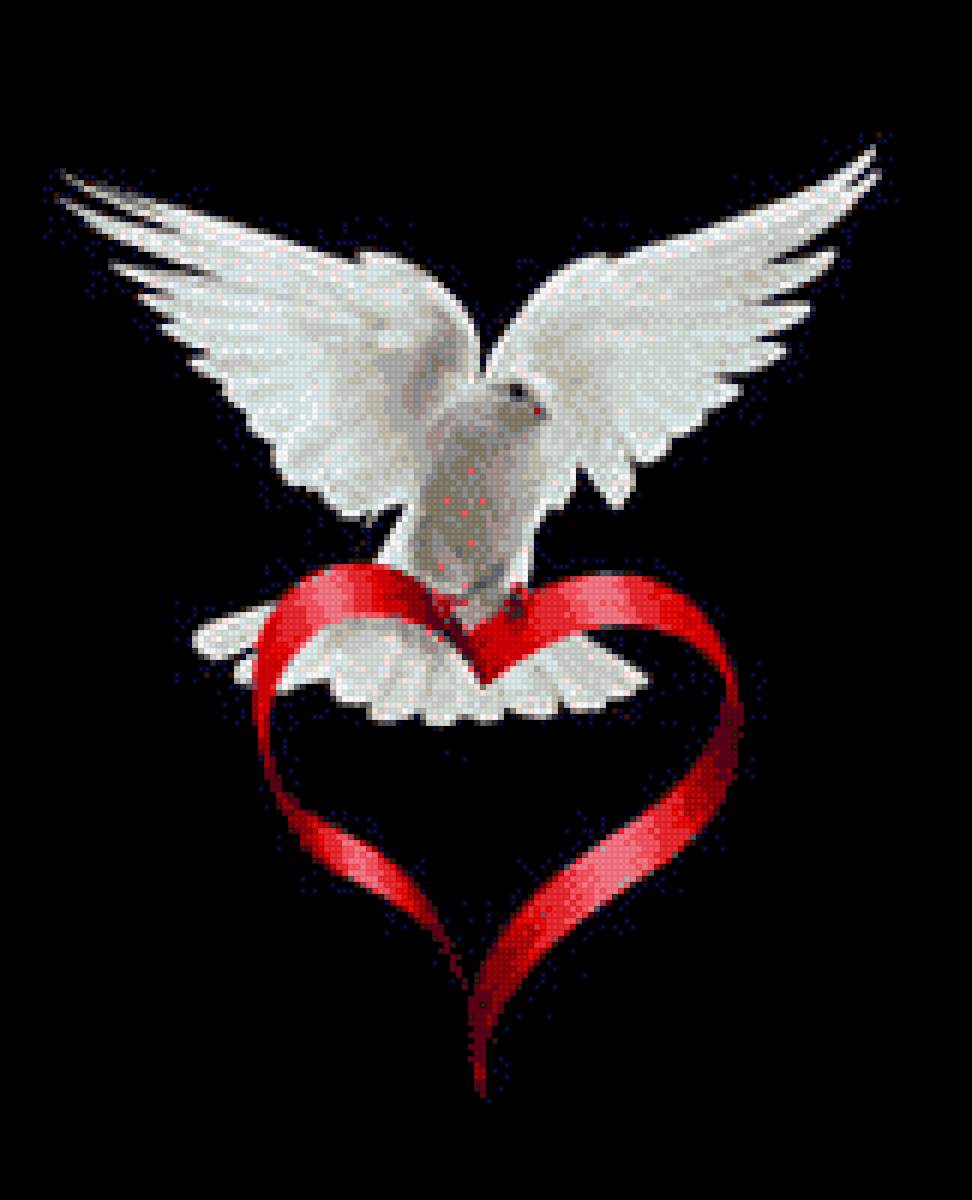 Голубь - голубь - предпросмотр