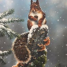 Схема вышивки «белка»