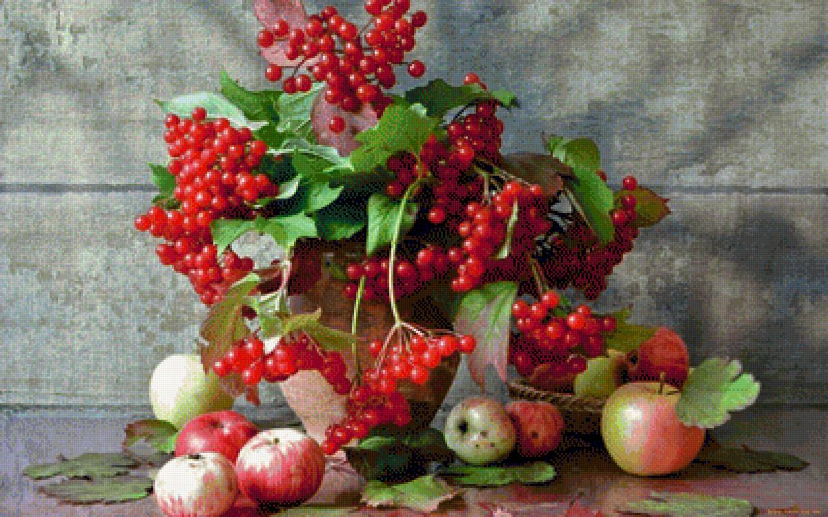 Натюрморт с калиной - яблоки, калина, фрукты, натюрморт, ягоды - предпросмотр