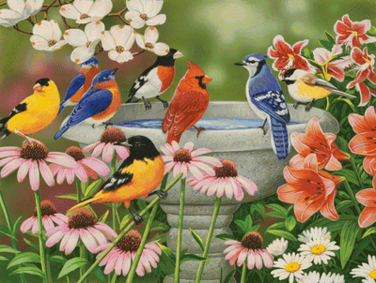 Птички - птички, рисунок, природа, цветы, птицы - предпросмотр