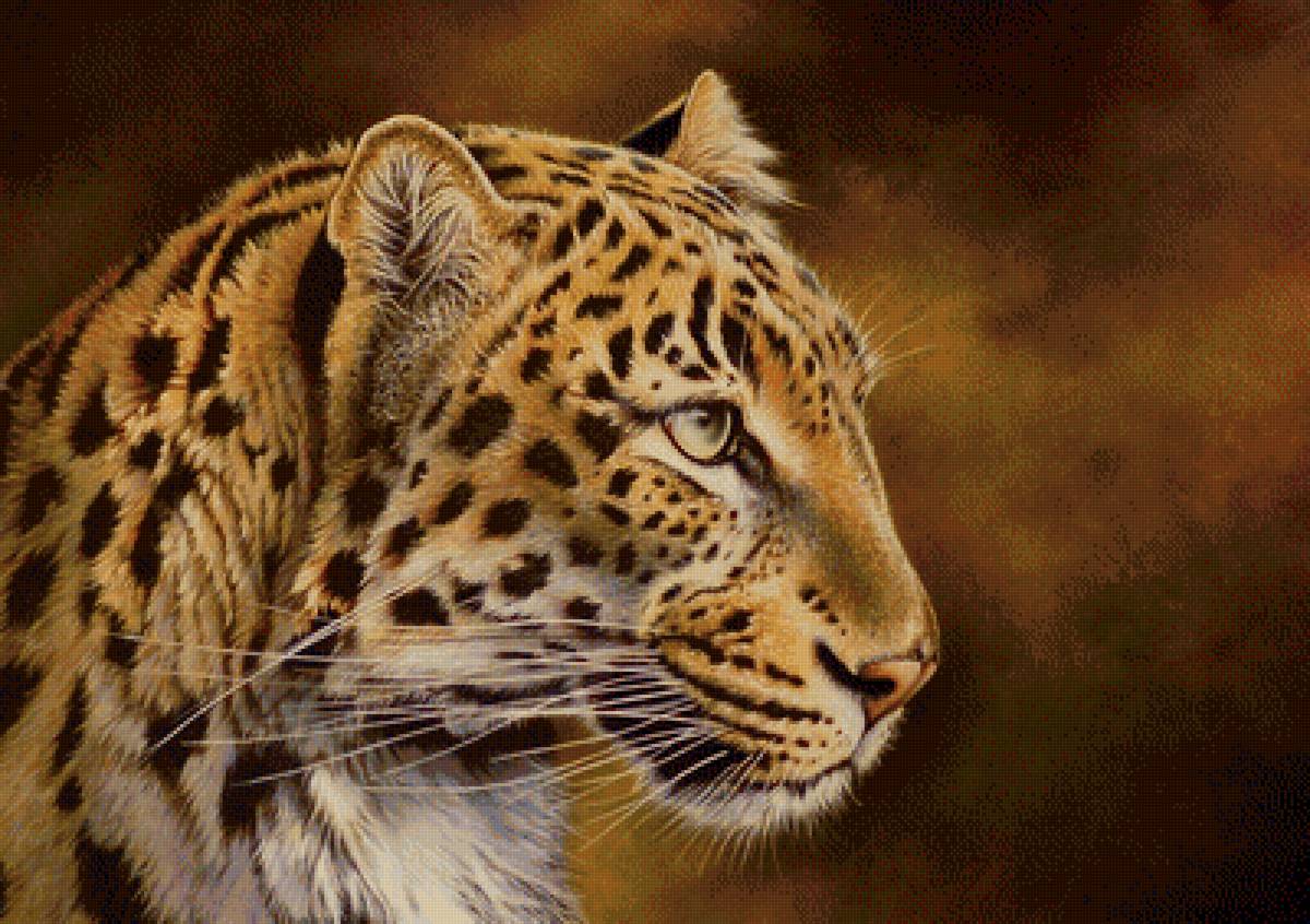 Леопард - леопард, животные, рисунок - предпросмотр