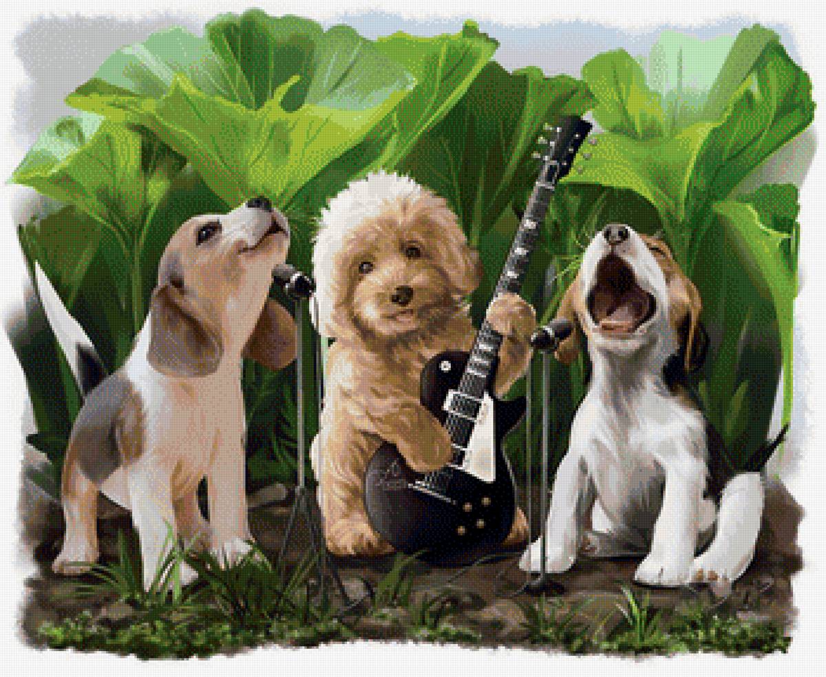 Dog Band - рисунок, щенки, животные, собака, щенок, гитара - предпросмотр