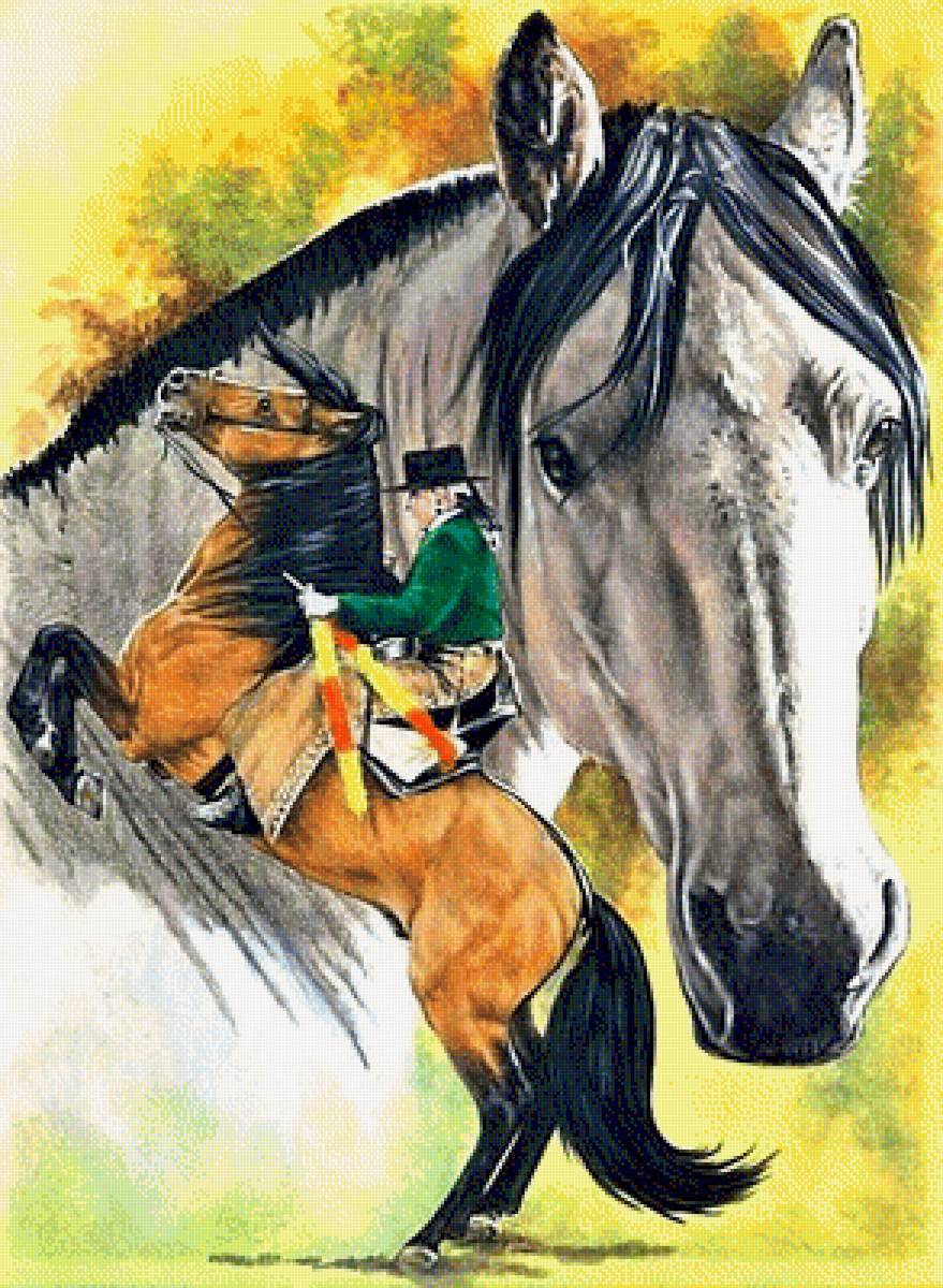 №1882353 - лошади - предпросмотр