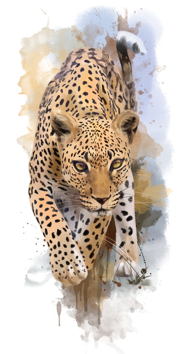 Ягуар - рисунок, ягуар, животные - оригинал