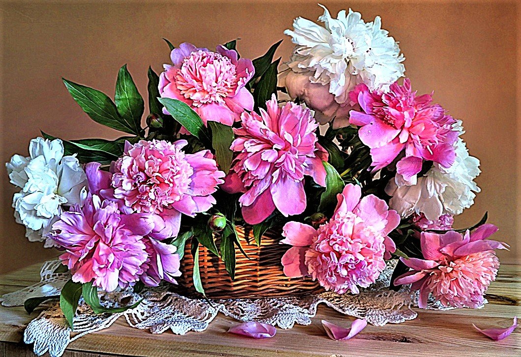 №1882850 - пионы - оригинал