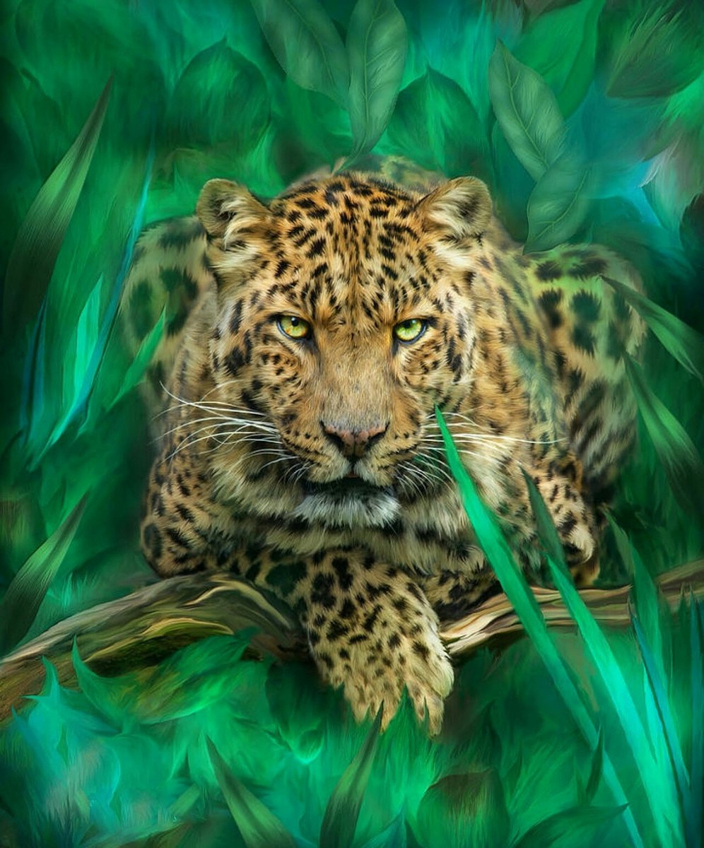 Леопард - рисунок, животные, леопард - оригинал