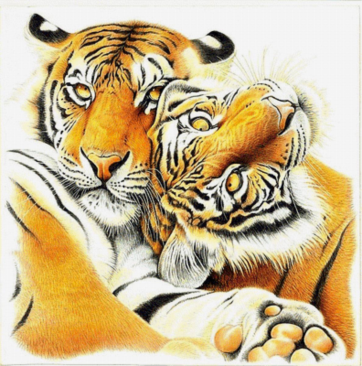 №1883273 - тигры - предпросмотр