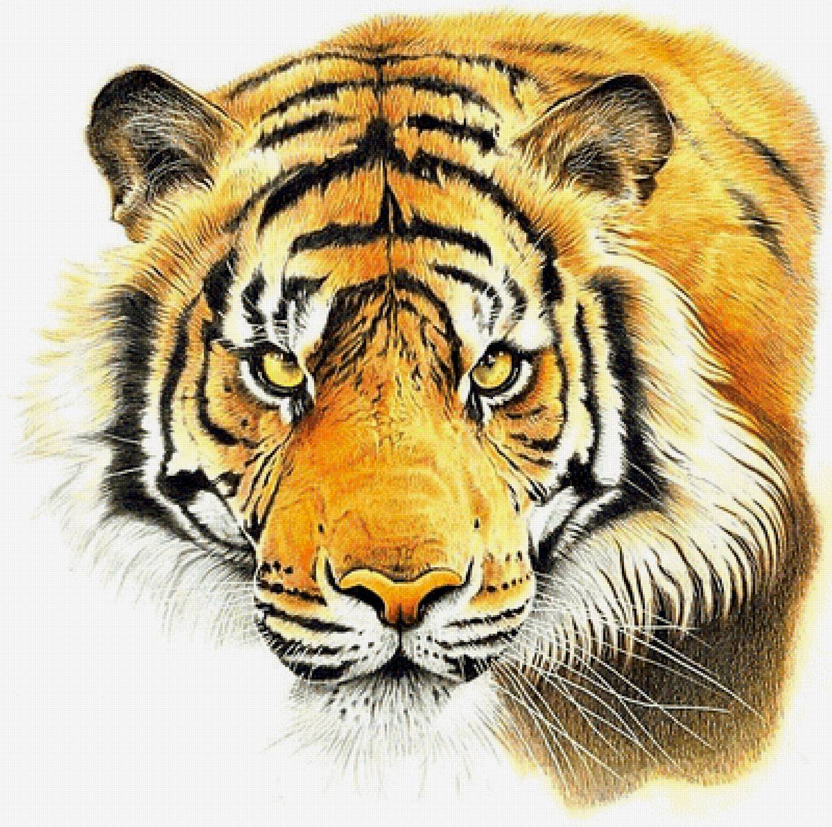 №1883276 - тигр - предпросмотр