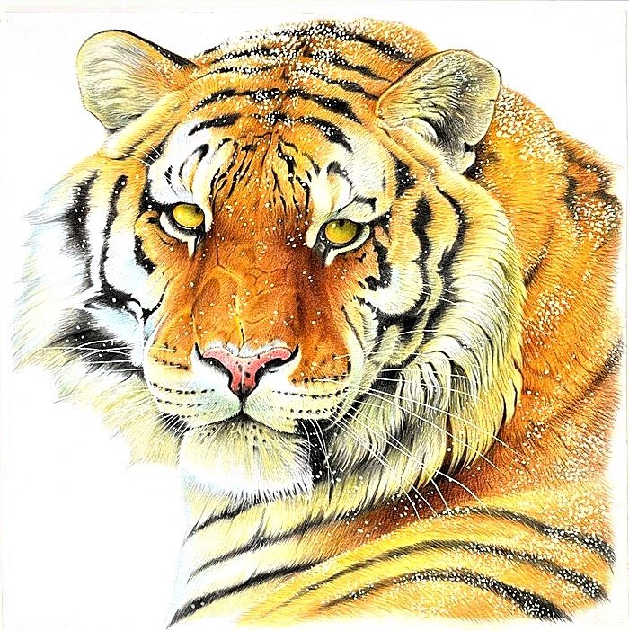 №1883278 - тигр - оригинал