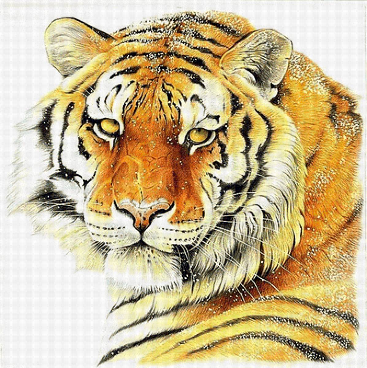 №1883278 - тигр - предпросмотр