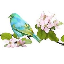 Схема вышивки «птичка»