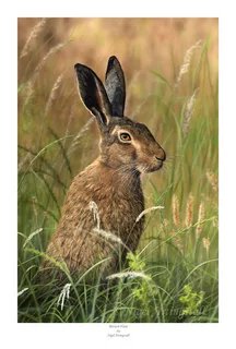 заяц - заяц, животные - оригинал