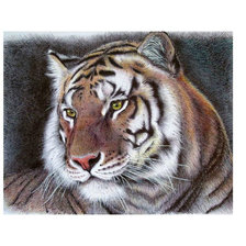 Оригинал схемы вышивки «Тигр» (№1883405)