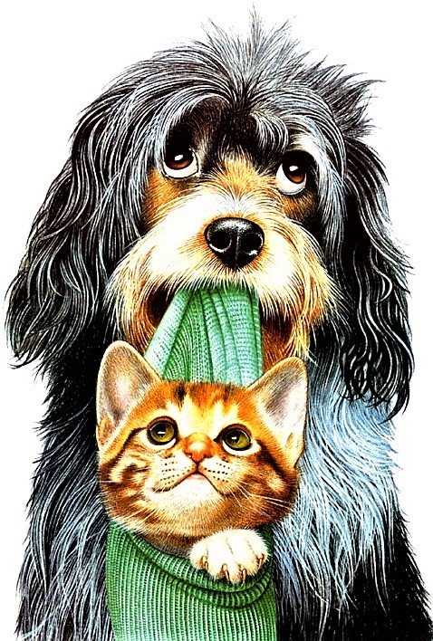 №1883433 - собаки, кошки - оригинал