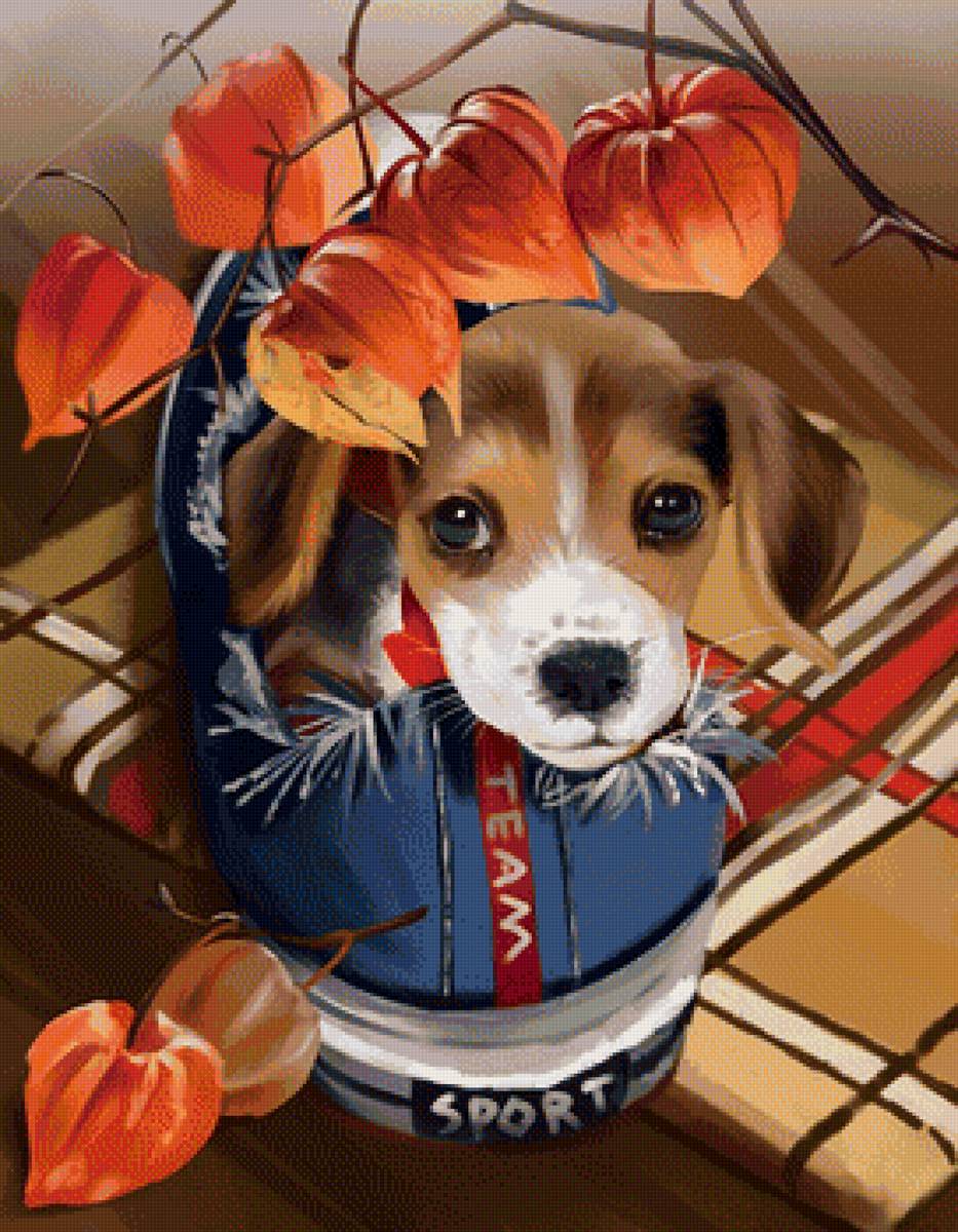 Щенок - животные, рисунок, собака, щенок - предпросмотр