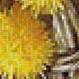 Предпросмотр схемы вышивки «одуванчики» (№1883550)