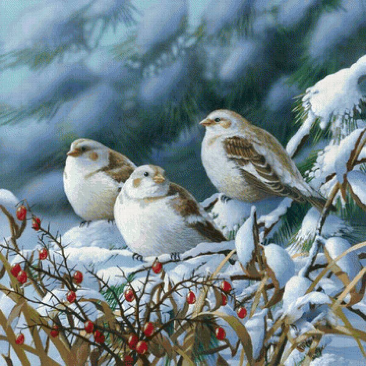 Птички - картина, снег, зима, птицы, птички, природа - предпросмотр