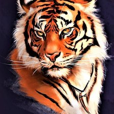 Схема вышивки «TIGRE»