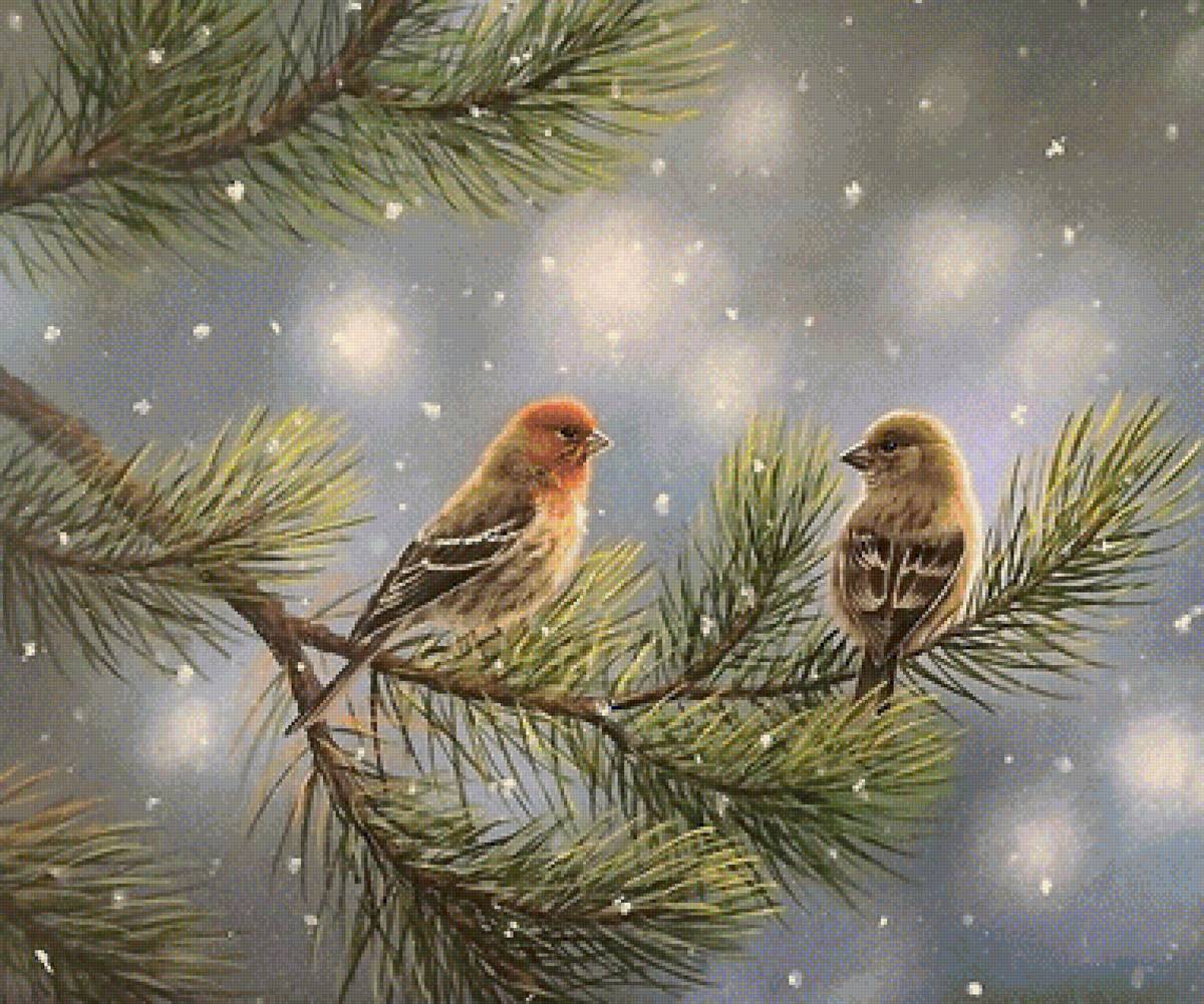 птицы - птицы - предпросмотр