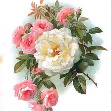 Оригинал схемы вышивки «розы» (№1885189)