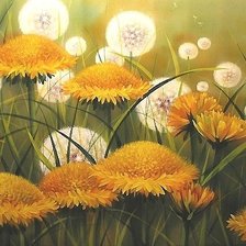 одуванчики