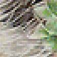 Предпросмотр схемы вышивки «Ёжик» (№1885267)