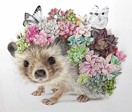 Ёжик - оригинал