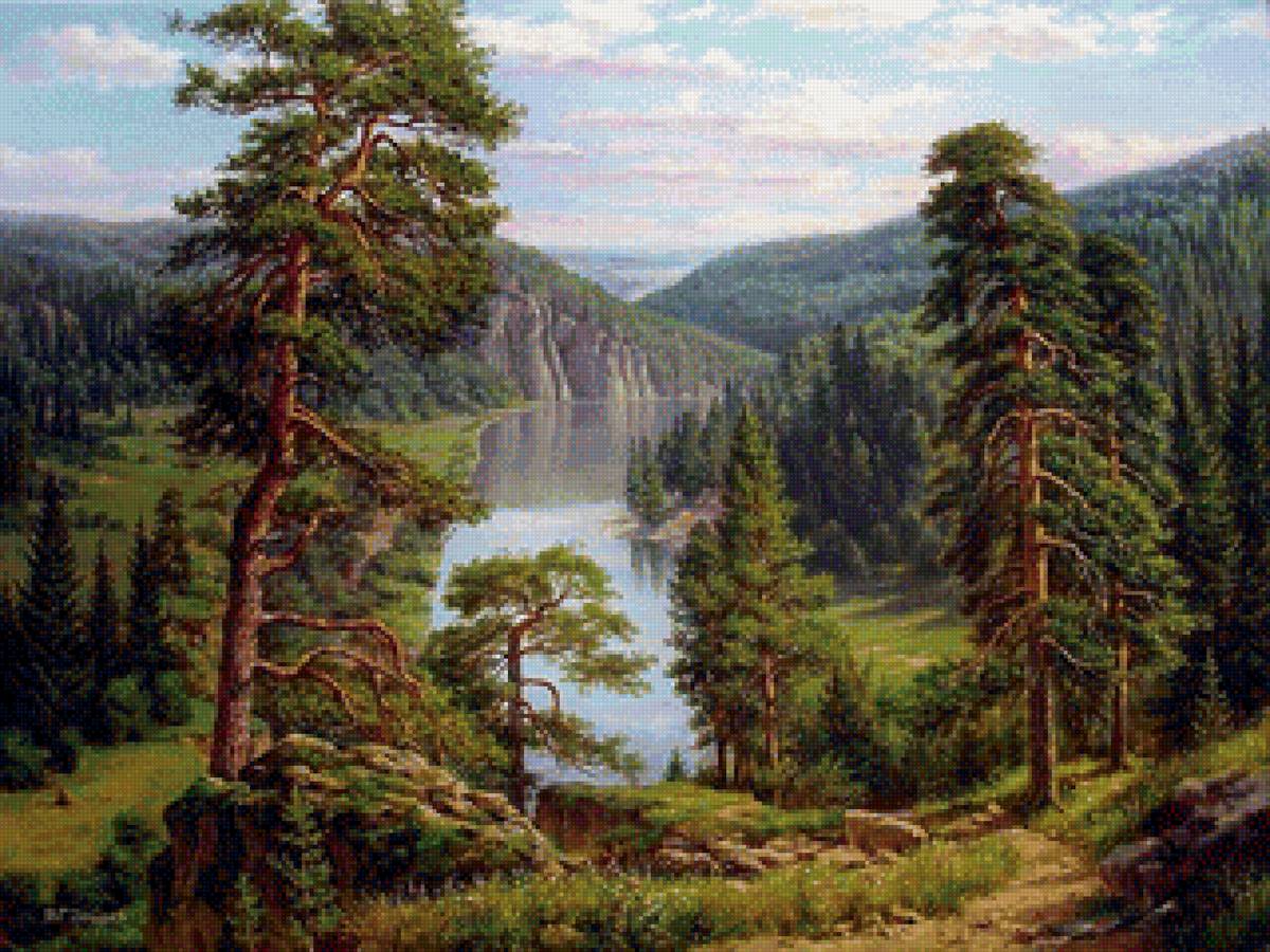 Сосновый лес - лес, пейзаж - предпросмотр