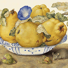 Схема вышивки «Натюрморт.»