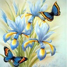 Схема вышивки «Бабочки и ирисы»