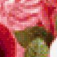 Предпросмотр схемы вышивки «Розы и жемчуг» (№1885825)