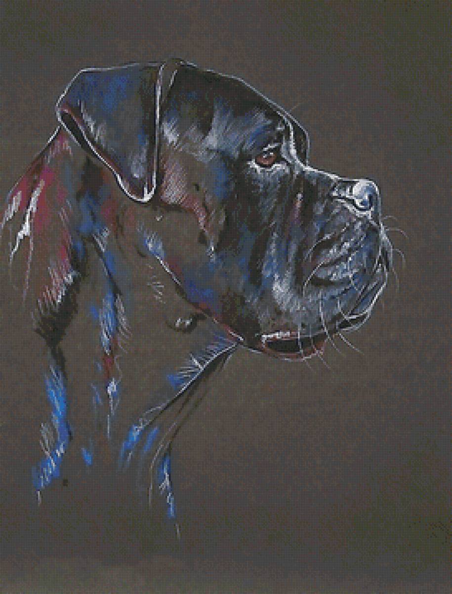 собака - предпросмотр